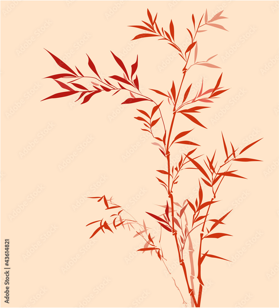 Fototapeta premium Bamboo