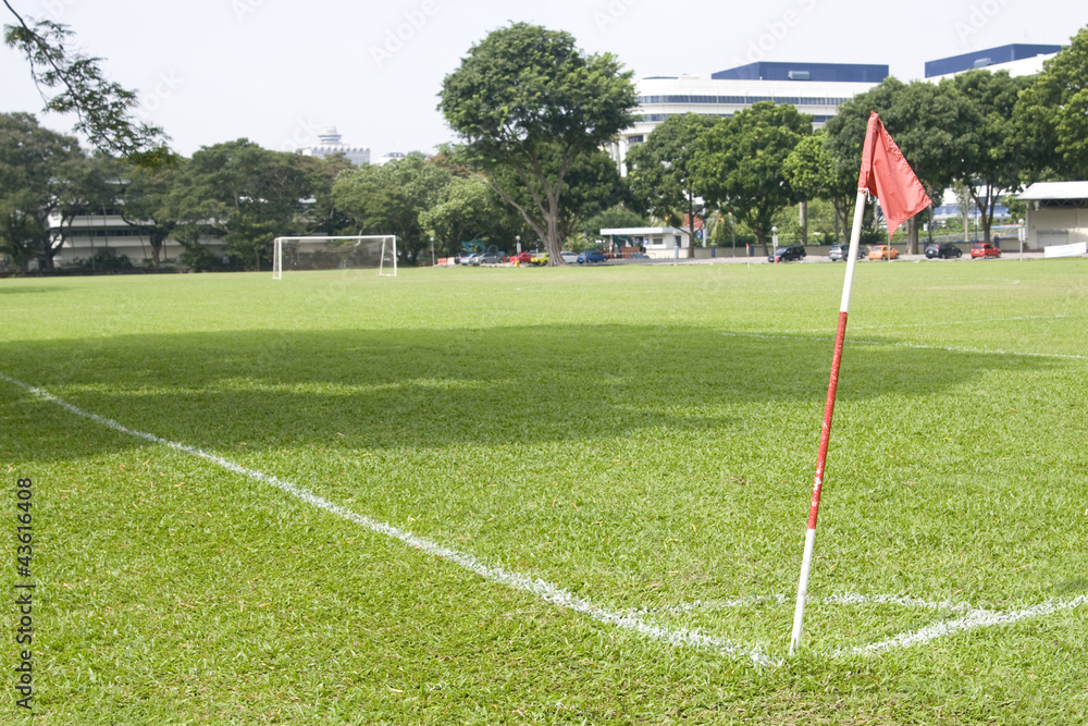 Fototapeta premium soccer field