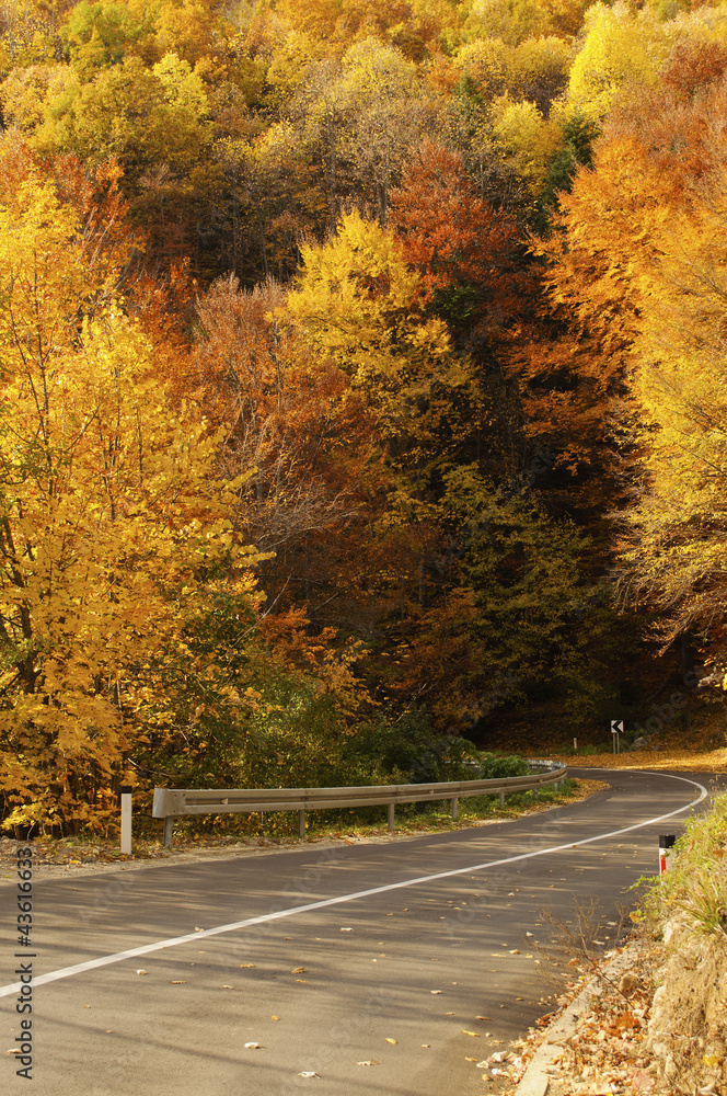 Obraz premium Empty road