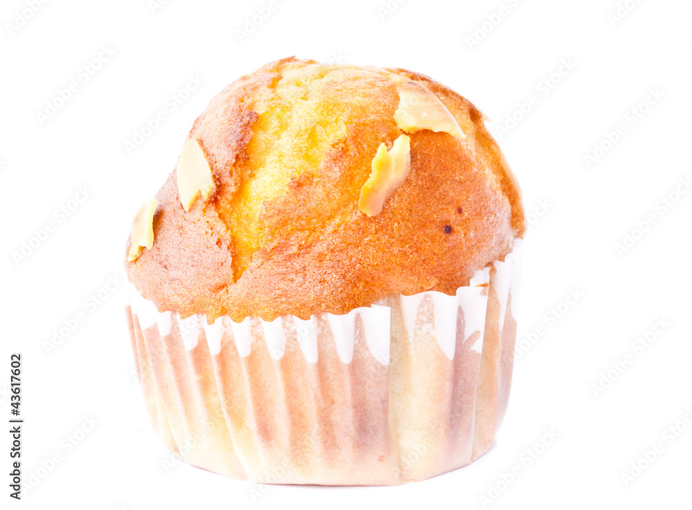 freshly mixed muffin on the white background freshly mixed muffin on the white background