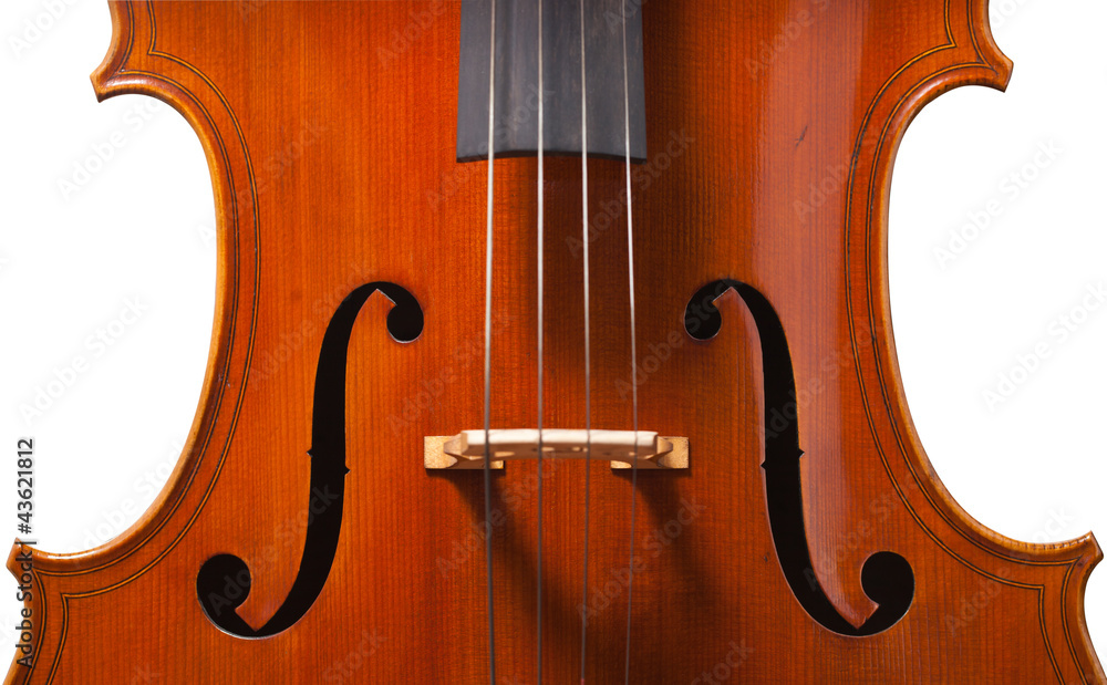 Violin isolated on white background with clipping path Violin isolated on white background with clipping path