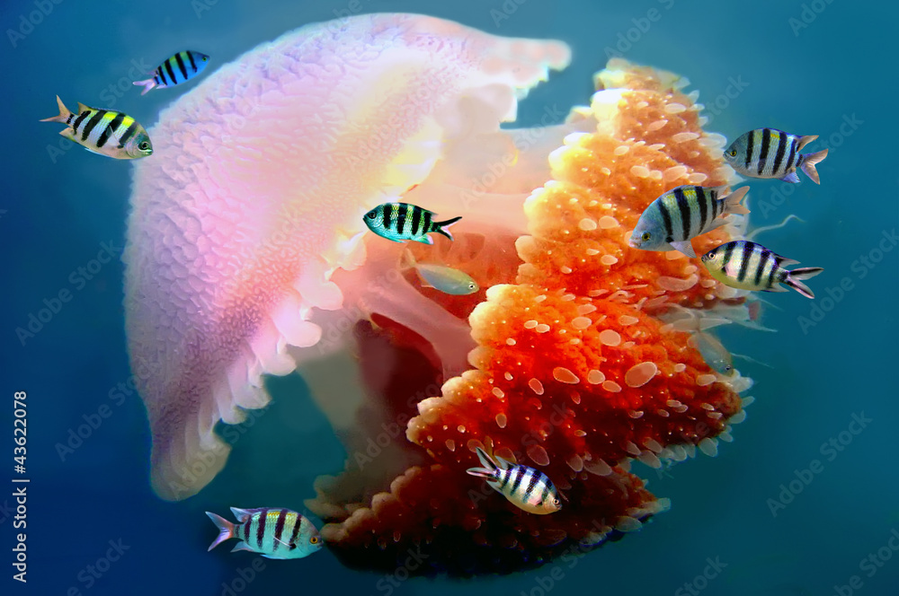 Naklejka premium gigantyczna meduza pływająca z mackami pod wodą