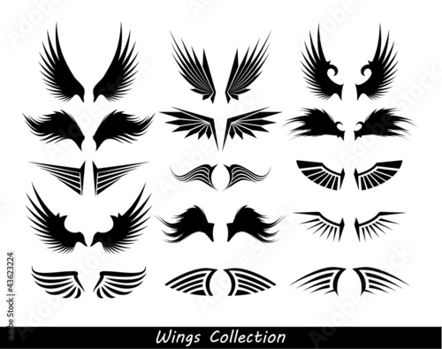 wings collection (set of wings)