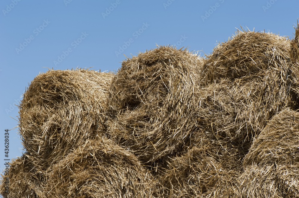 Background of straw Background of straw