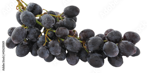 Foto Black grapes isolated on white background