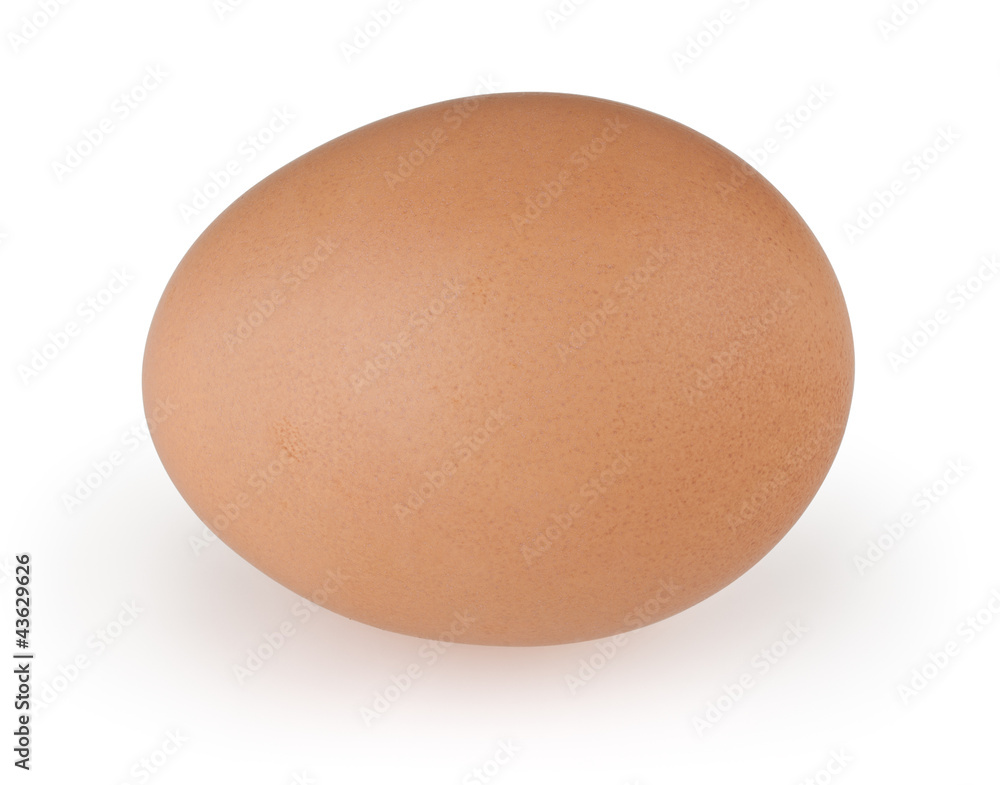 Egg isolated on white background with clipping path Egg isolated on white background with clipping path
