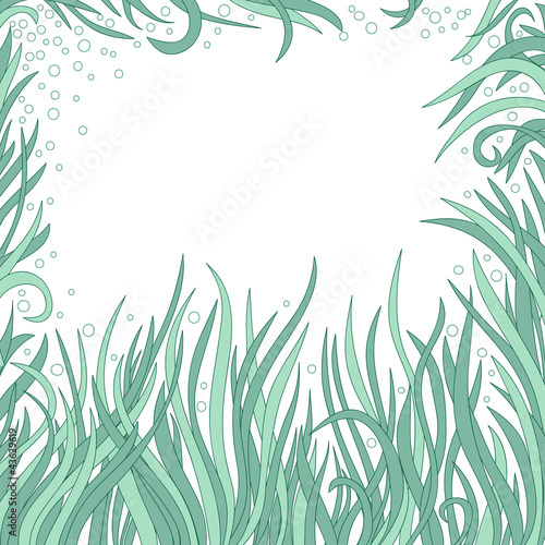 Grass background