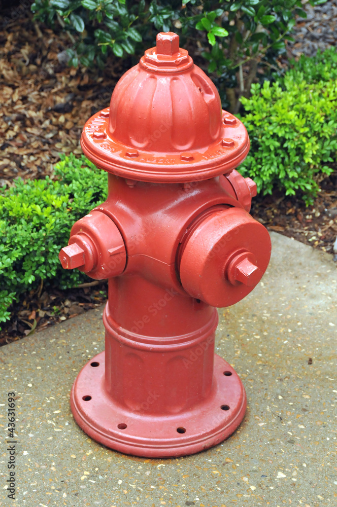 Fire Hydrant