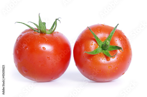 Tomatoes with water drops on the white