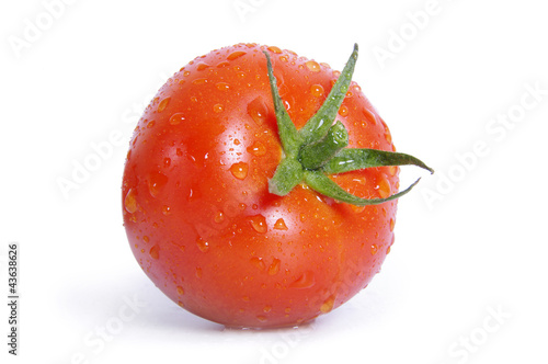 Tomato with water drops on the white