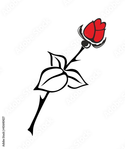 rose 307a
