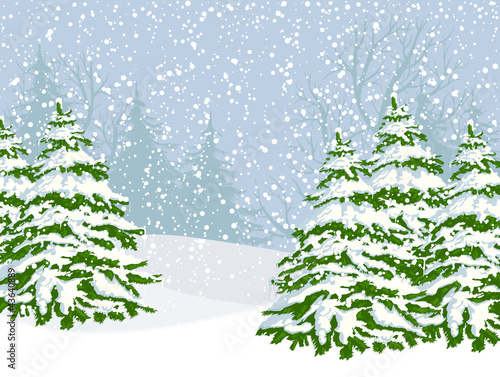 Winter landscape