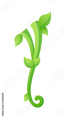 vector icon leaf