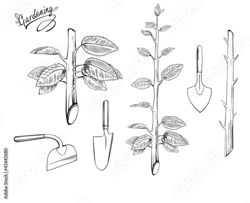 Gardening