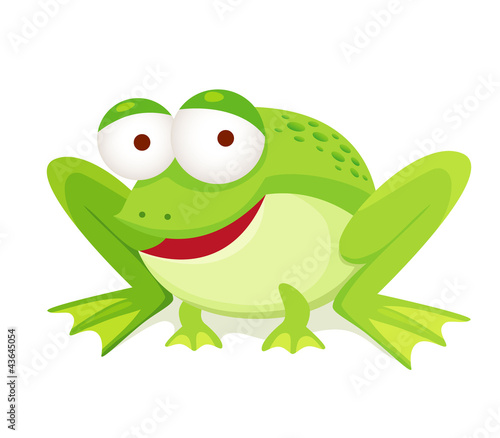 green frog isolated on white