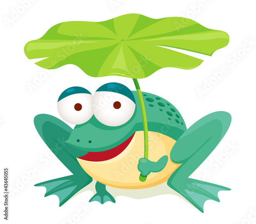 green frog holding leaf isolated on white