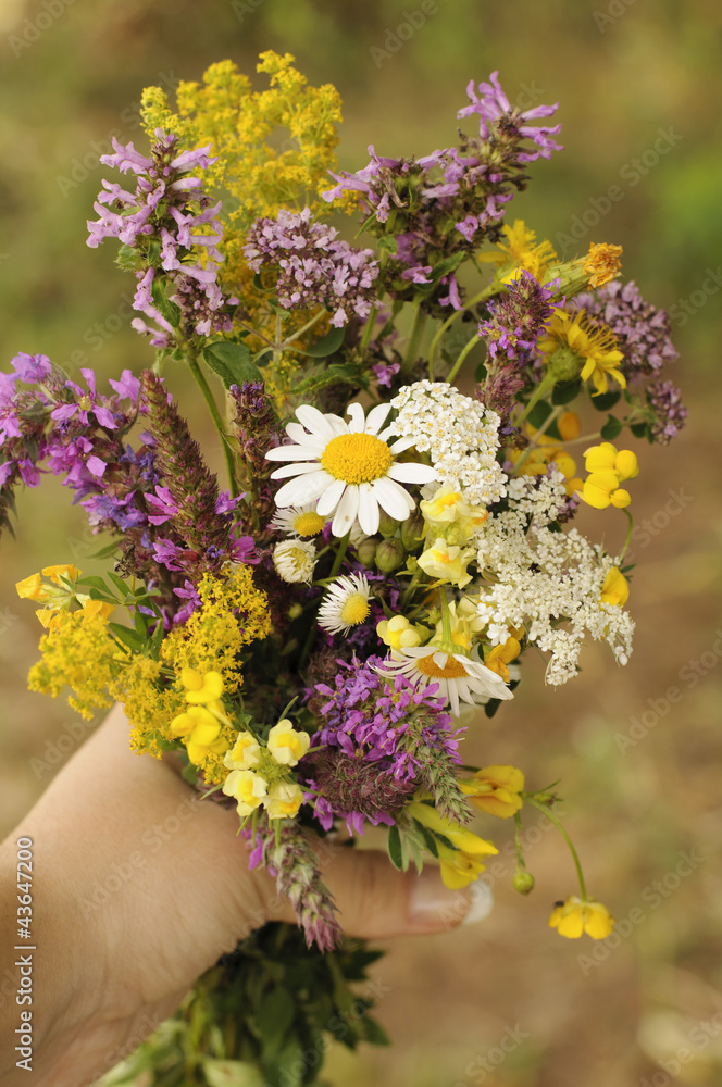 Woman holding a bouquet of wild flowers Woman holding a bouquet of wild flowers
