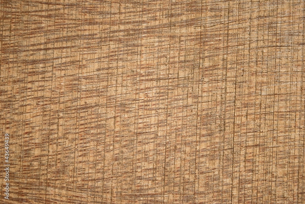 wood texture wood texture