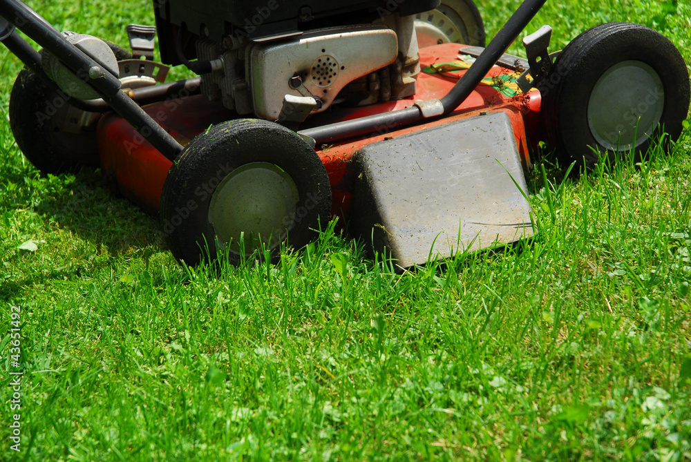Fototapeta premium Alter Rasenmäher