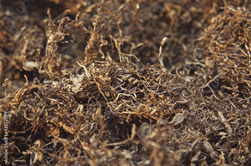 closeup dried tobacco