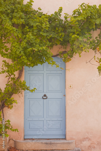 A vine covered door in Venasque