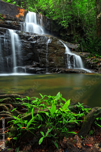 Fototapeta Naklejka Na Ścianę i Meble -  Waterfall in tropical forest, east of Thailand
