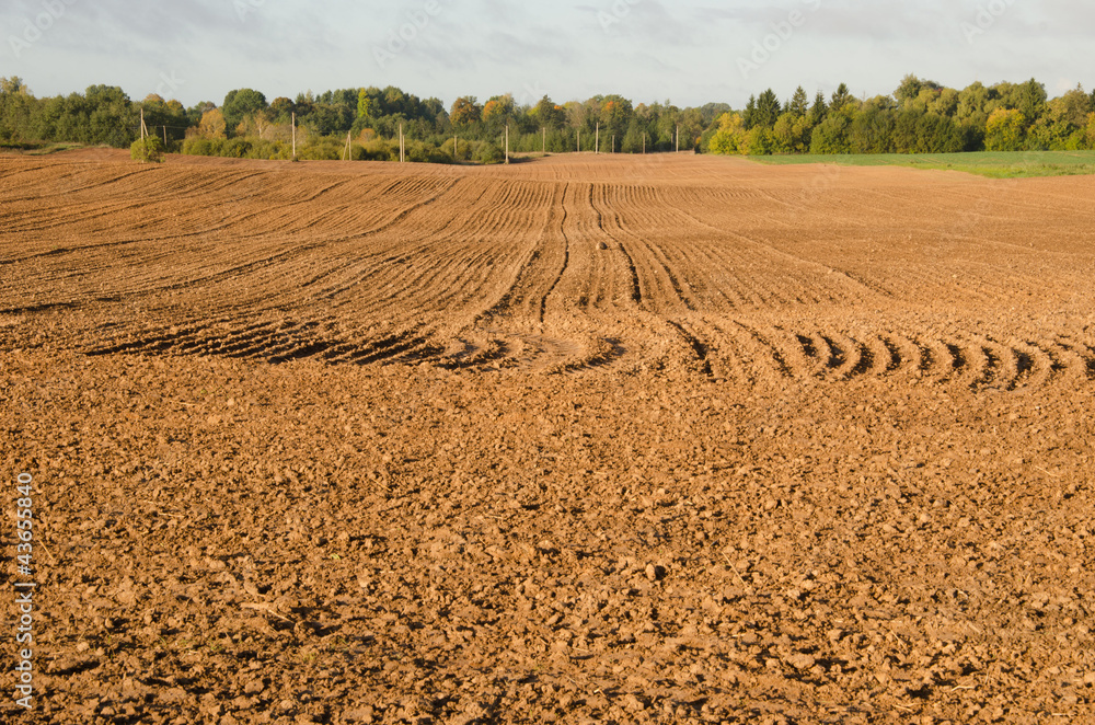 Agriculture plow autumn field. Loam soil prepare Agriculture plow autumn field. Loam soil prepare