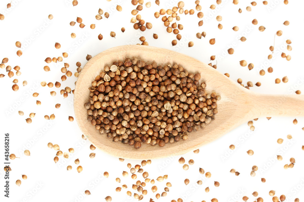 Heap coriander seeds in wooden spoon Heap coriander seeds in wooden spoon