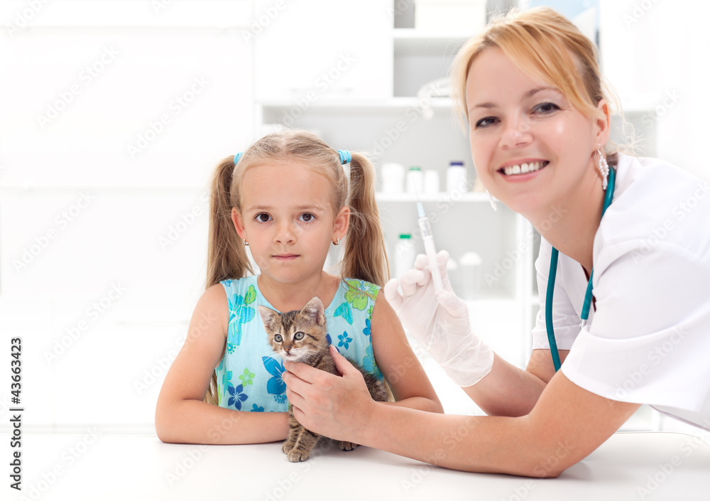 Little girl and his kitten at the veterinary Little girl and his kitten at the veterinary