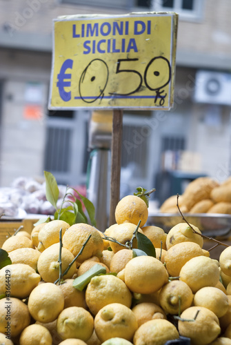 lemons of sicily for sale photo