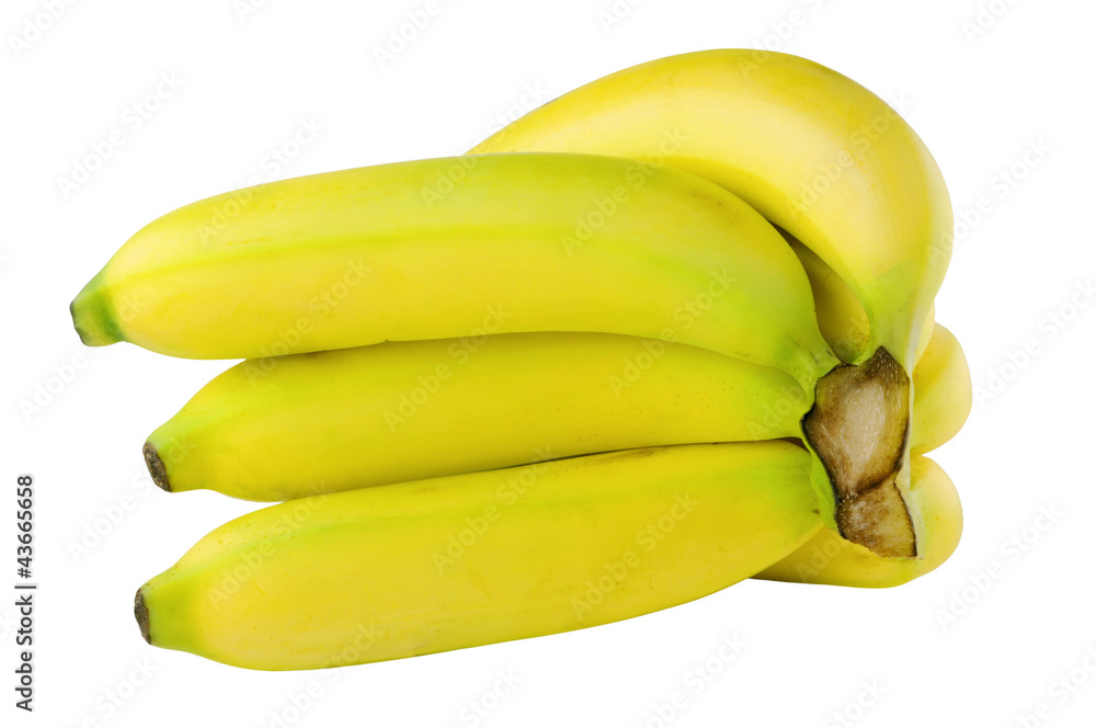Banana Bunch Banana Bunch
