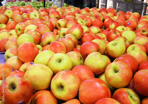 Red and Yellow Apples