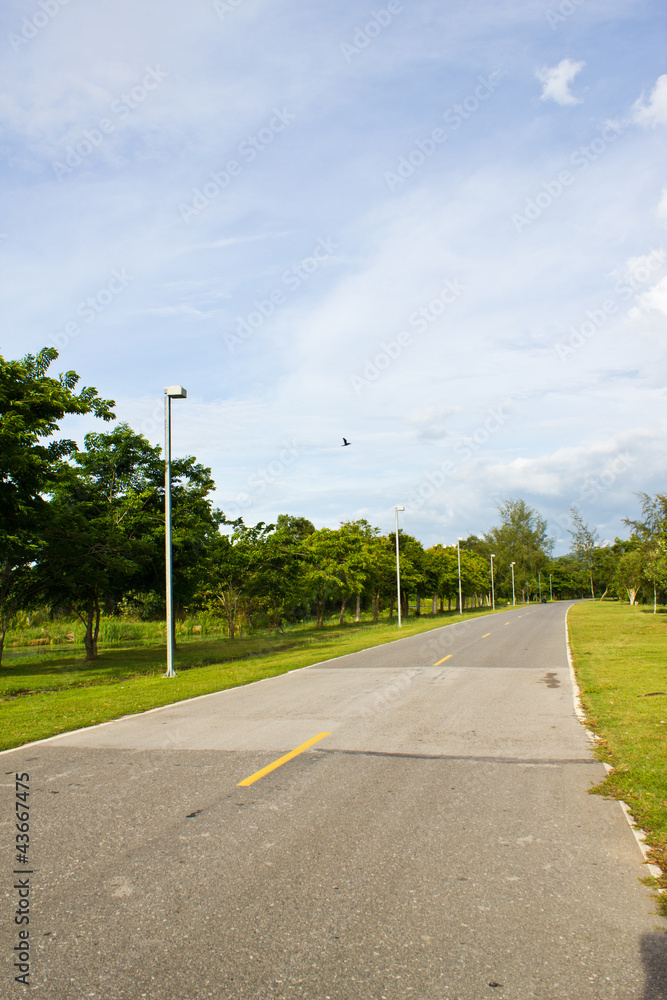 empty road in the park