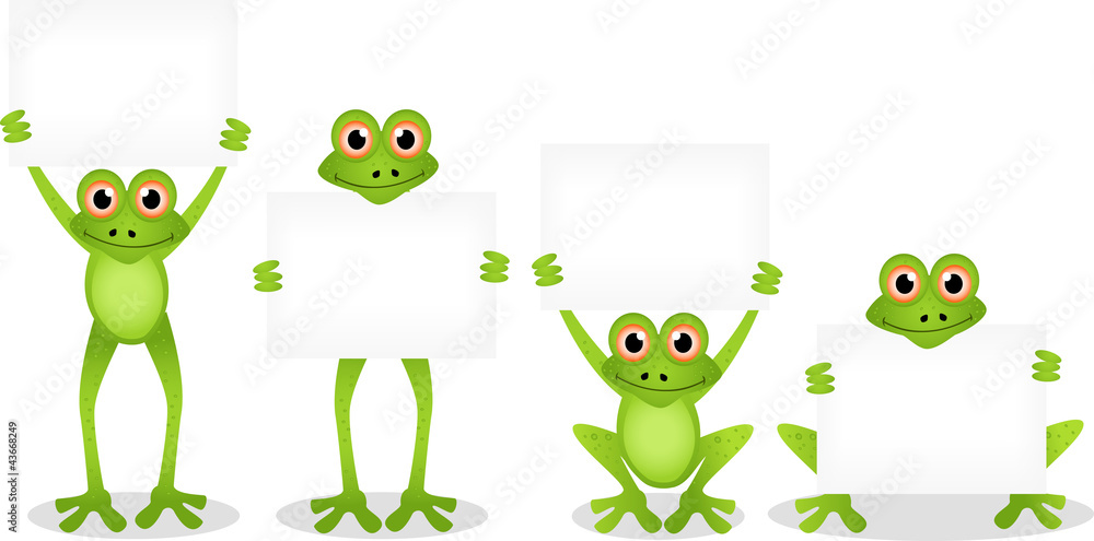 Obraz premium frog with blank sign