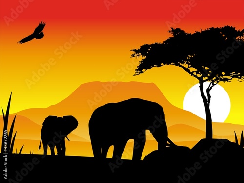 beauty silhouette of elephant trip with sunset background