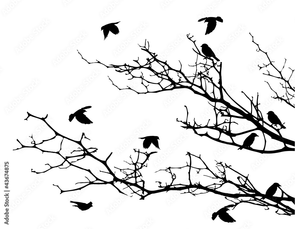 Naklejka piękna sylwetka drzewa z lecącego ptaka