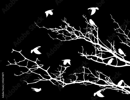 beautiful tree silhouette with bird flying