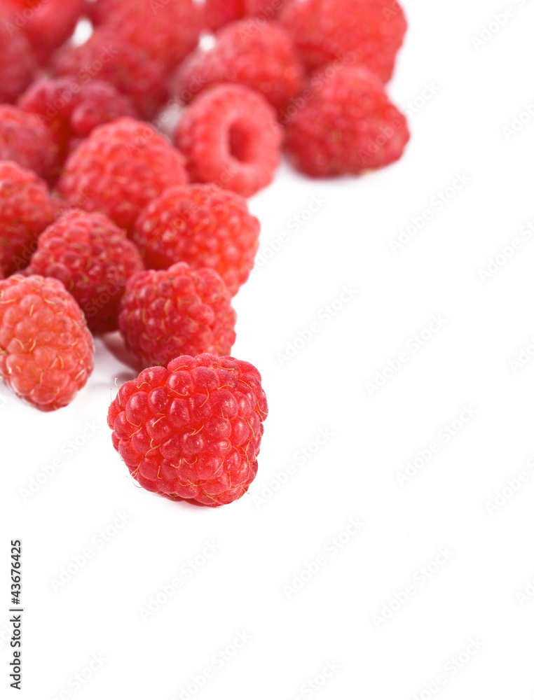 Raspberries macro on white background