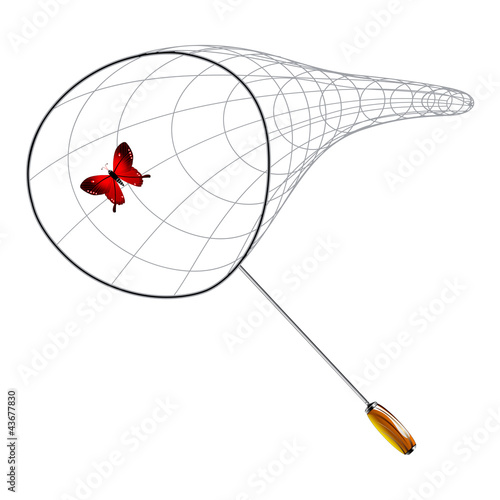 butterfly and net