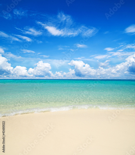 Sunny Tropical Beach With Palm Leaves And Paradise Island © Pakhnyushchyy