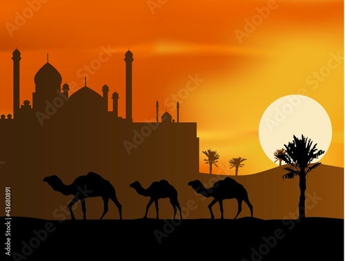 camel trip with mosque background