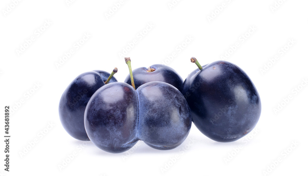 Plum Plum