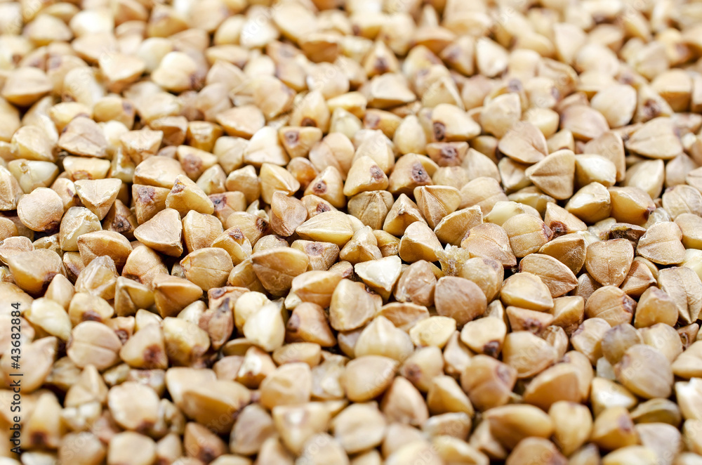 Buckwheat Buckwheat
