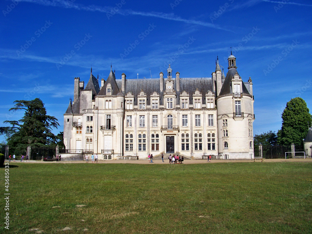 Fototapeta premium French castlle