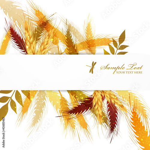crop background