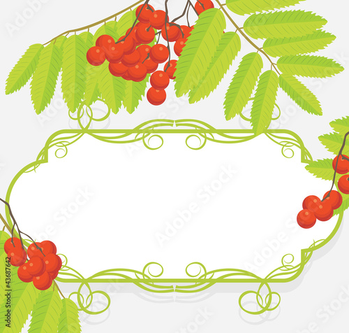 Decorative frame with rowan branches
