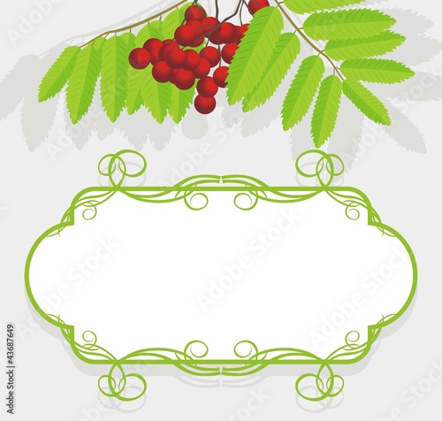Decorative frame with rowan branch