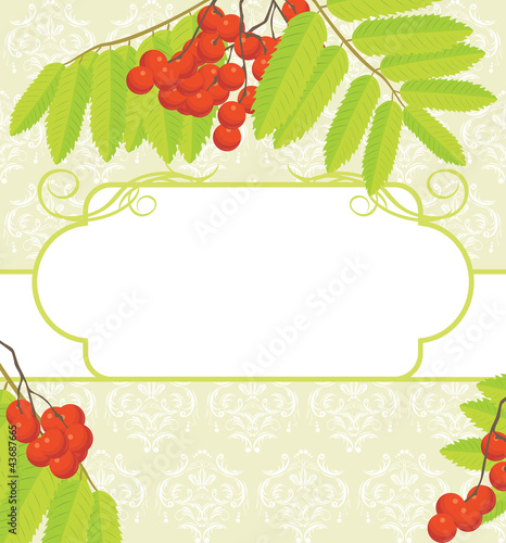 Frame with rowan branches on the ornamental background
