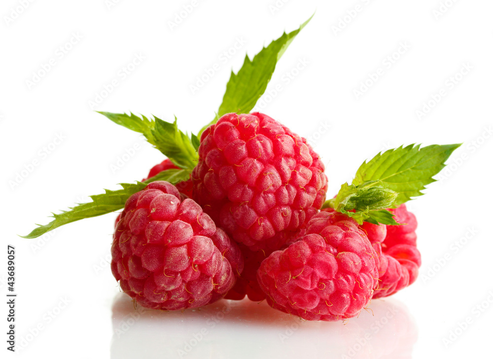 ripe raspberries with mint isolated on white ripe raspberries with mint isolated on white