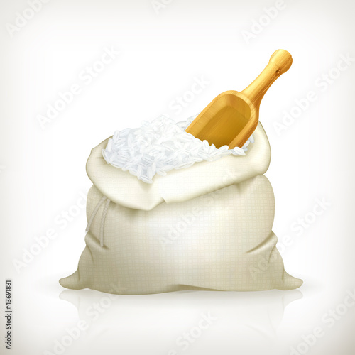 Bag of rice